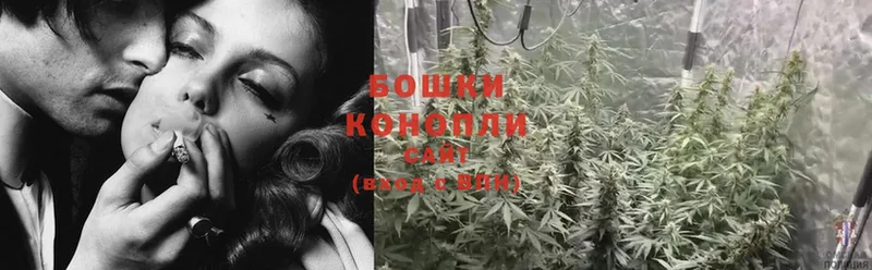 МАРИХУАНА OG Kush  Отрадная 